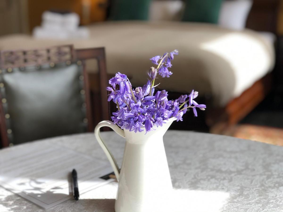 Lissanisky House Bed & Breakfast Ballymackey Ngoại thất bức ảnh
